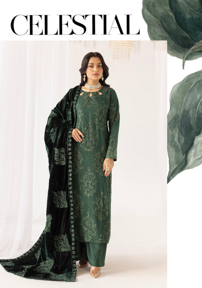 SIMRANS ‘Fushiya’ | Embroidered Dhanak Velvet Shawl Readymade | SM745 (Green)