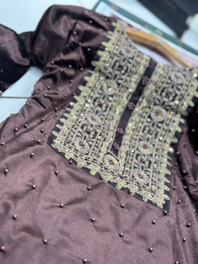 Brown Embroidered Korean Velvet  Readymade | RGZ007 Womenswear Dress