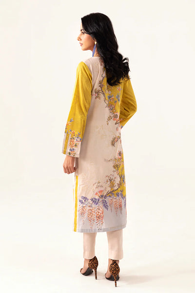  Ramsha - Pakistani clothes