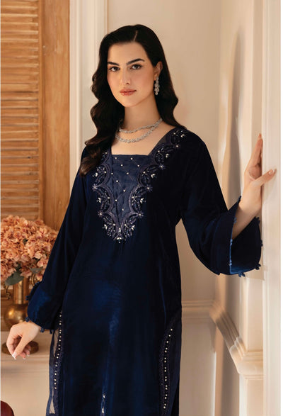 AIN | Embroidered Velvet Ready To Wear | AN-83