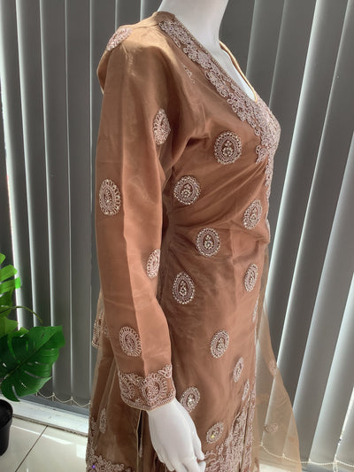 ASHA | Embroidered Net Dori Work Mother & Daughter Dress Ready To Wear Light Brown| AS66