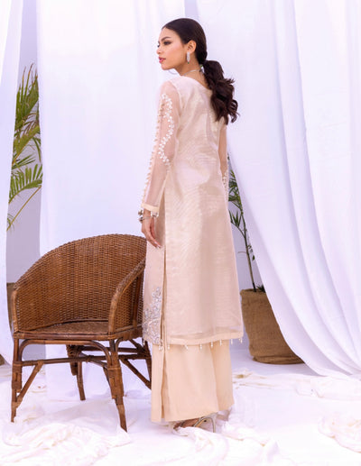  AIN - Pakistani clothes