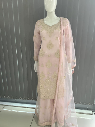 ASHA | Embroidered Net Dori Work Mother & Daughter Dress Ready To Wear Light Pink| AS67