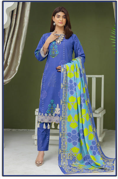 RANGZ ‘Gulaal’ | Embroidered Khaddar Readymade | RGZ031