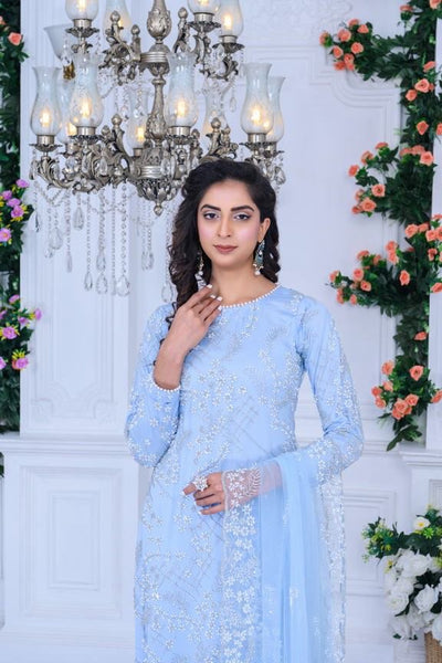 S Creations ‘Maya’ | Embroidered Net Formal Readymade | SC134 (Sky Blue)