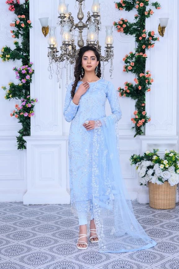 S Creations ‘Maya’ | Embroidered Net Formal Readymade | SC134 (Sky Blue)