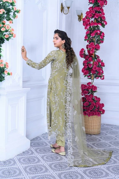 S Creations ‘Maya’ | Embroidered Net Formal Readymade | SC134 (Khaki Green)