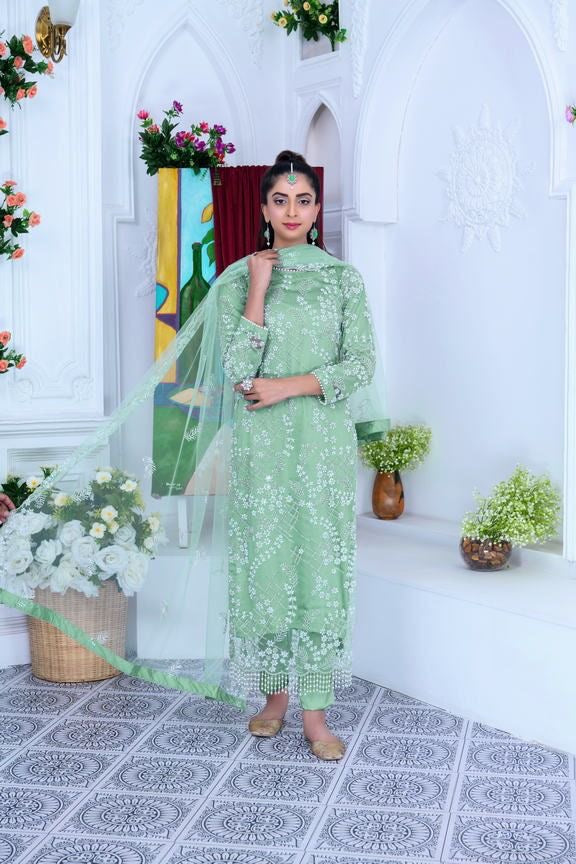 S Creations ‘Maya’ | Embroidered Net Formal Readymade | SC134 (Mint Green)