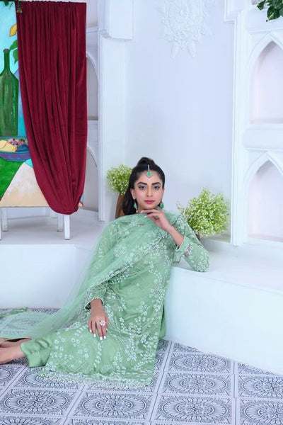 S Creations ‘Maya’ | Embroidered Net Formal Readymade | SC134 (Mint Green)