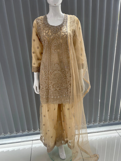  Asha - Pakistani clothes