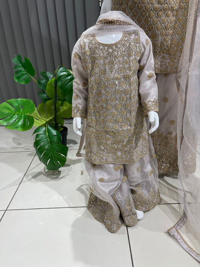  Asha - Pakistani clothes