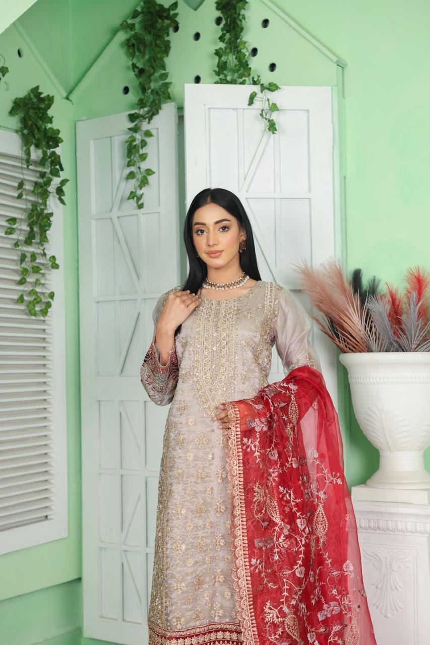 S Creations | Embroidered Organza Readymade | SC107 (Beige)