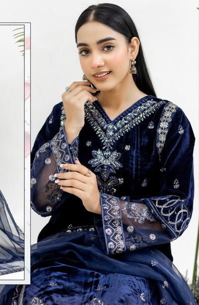 Navy Embroidered Velvet Readymade | RGZ014