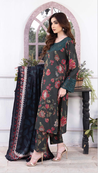 RANIYA.H ‘Safeena’ | Embroidered Dhanak Readymade | RHW-03