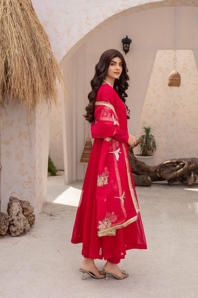  Pehnawa - Pakistani clothes