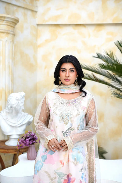 Inspired | Embroidered Net Plazzo Readymade Womenswear Formal Traditional | SC194 S Creations