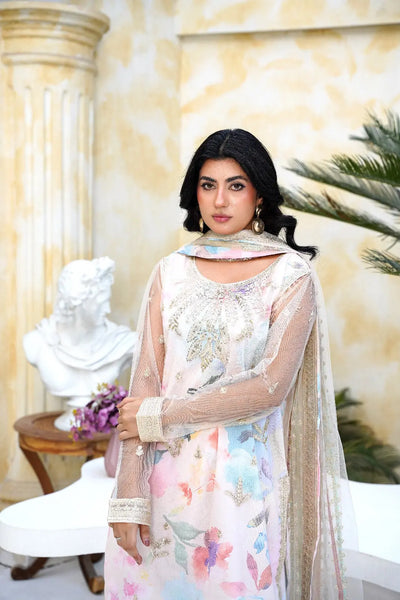 Inspired | Embroidered Net Plazzo Readymade Womenswear Formal Traditional | SC194 S Creations