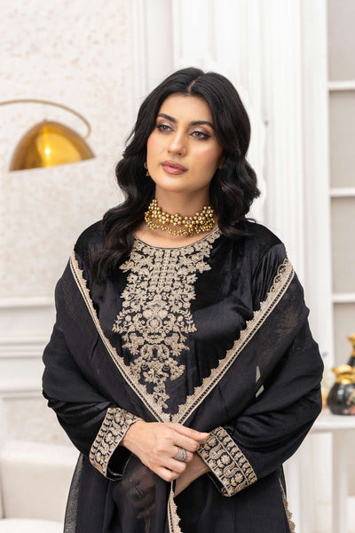 RANGZ 'Afreen' | Embroidered Velvet Long Kameez Pakistani Readymade  | RGZ106 (4 Colours) Rangz