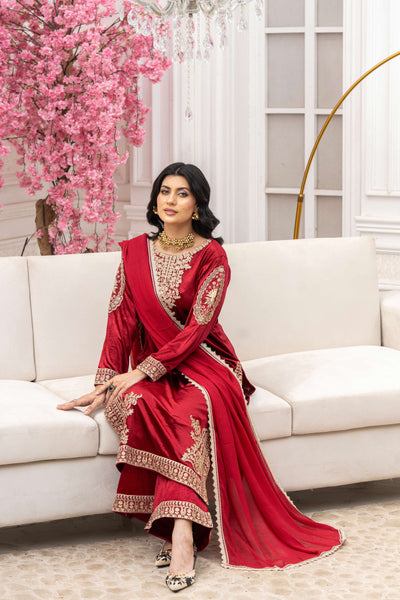 RANGZ 'Afreen' | Embroidered Velvet Long Kameez Pakistani Readymade  | RGZ106 (4 Colours)