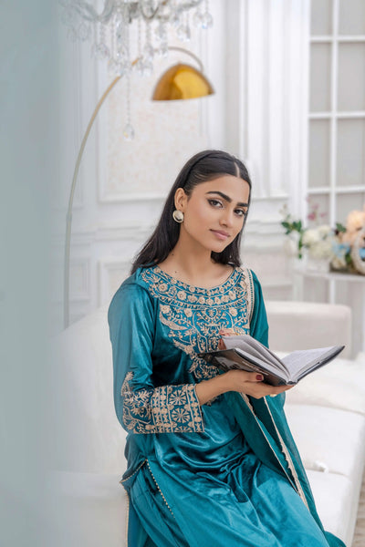 RANGZ 'Filhaal 2.0' | Embroidered Velvet Long Kameez Pakistani Readymade  | RGZ107 (5 Colours) Rangz