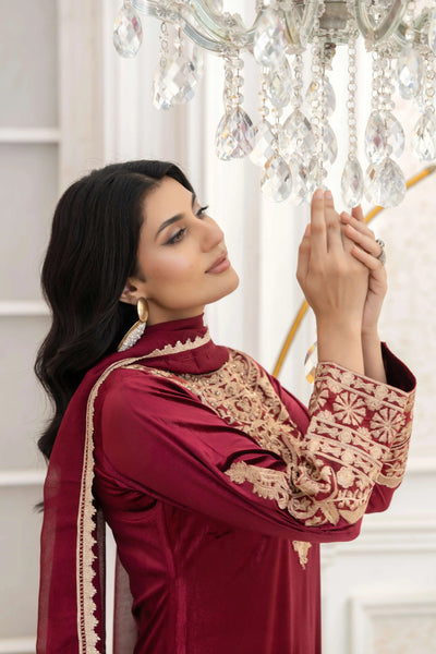 RANGZ 'Filhaal 2.0' | Embroidered Velvet Long Kameez Pakistani Readymade  | RGZ107 (5 Colours) Rangz