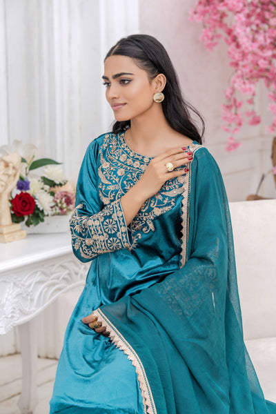 RANGZ 'Filhaal 2.0' | Embroidered Velvet Long Kameez Pakistani Readymade  | RGZ107 (5 Colours)