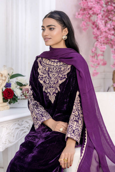 RANGZ 'Filhaal 2.0' | Embroidered Velvet Long Kameez Pakistani Readymade  | RGZ107 (5 Colours) Rangz