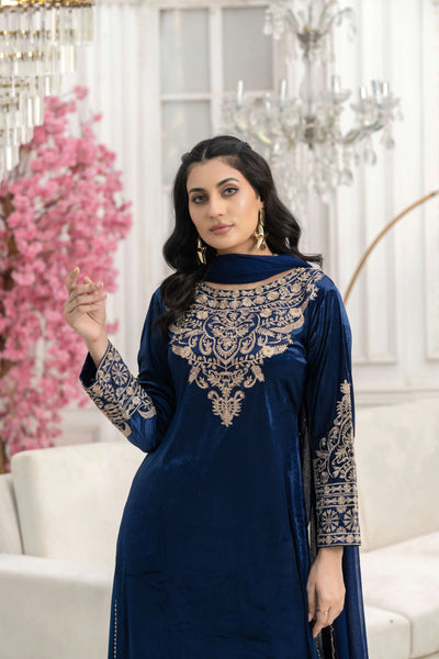 RANGZ 'Filhaal 2.0' | Embroidered Velvet Long Kameez Pakistani Readymade  | RGZ107 (5 Colours)