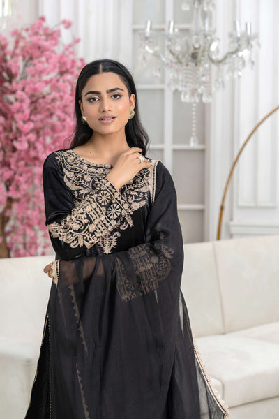 RANGZ 'Filhaal 2.0' | Embroidered Velvet Long Kameez Pakistani Readymade  | RGZ107 (5 Colours)