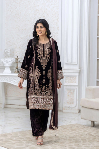 RANGZ 'Luxury' | Embroidered Velvet Long Kameez Pakistani Readymade  | RGZ108 (6 Colours)