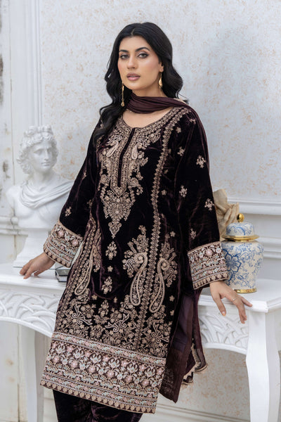RANGZ 'Luxury' | Embroidered Velvet Long Kameez Pakistani Readymade  | RGZ108 (6 Colours)