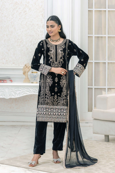 RANGZ 'Luxury' | Embroidered Velvet Long Kameez Pakistani Readymade  | RGZ108 (6 Colours) Rangz