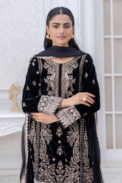 RANGZ 'Luxury' | Embroidered Velvet Long Kameez Pakistani Readymade  | RGZ108 (6 Colours) Rangz