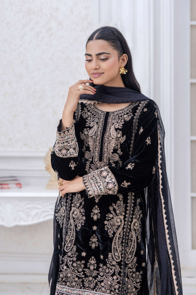 RANGZ 'Luxury' | Embroidered Velvet Long Kameez Pakistani Readymade  | RGZ108 (6 Colours) Rangz