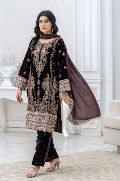 RANGZ 'Luxury' | Embroidered Velvet Long Kameez Pakistani Readymade  | RGZ108 (6 Colours) Rangz