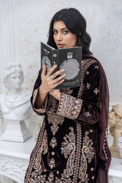 RANGZ 'Luxury' | Embroidered Velvet Long Kameez Pakistani Readymade  | RGZ108 (6 Colours) Rangz