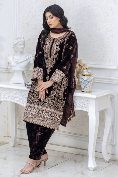 RANGZ 'Luxury' | Embroidered Velvet Long Kameez Pakistani Readymade  | RGZ108 (6 Colours) Rangz