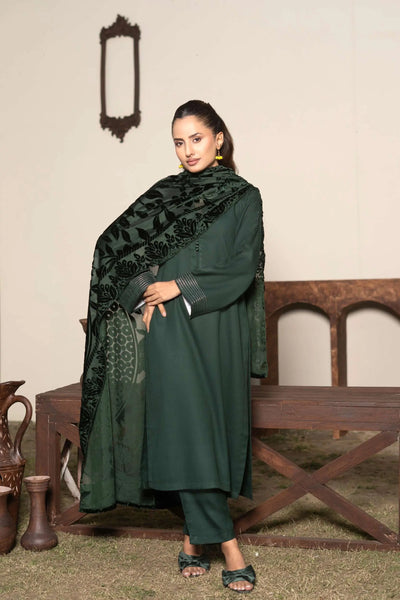 RANGZ 'Palachi Lux' | Dhanak Palachi Shawl 3pc Pakistani Readymade Womenswear Traditional | RGZ110 (6 Colours)