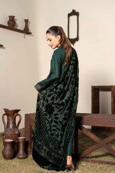 RANGZ 'Palachi Lux' | Dhanak Palachi Shawl 3pc Pakistani Readymade Womenswear Traditional | RGZ110 (6 Colours) RANGZ