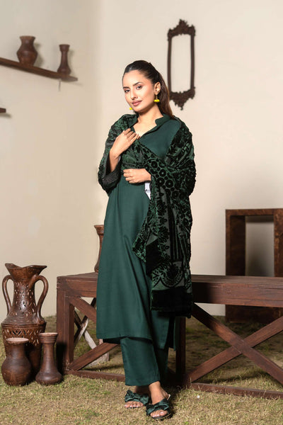 RANGZ 'Palachi Lux' | Dhanak Palachi Shawl 3pc Pakistani Readymade Womenswear Traditional | RGZ110 (6 Colours)