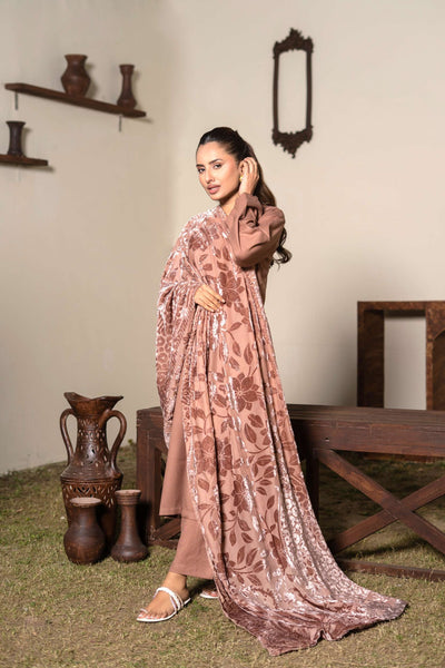 RANGZ 'Palachi Lux' | Dhanak Palachi Shawl 3pc Pakistani Readymade Womenswear Traditional | RGZ110 (6 Colours)