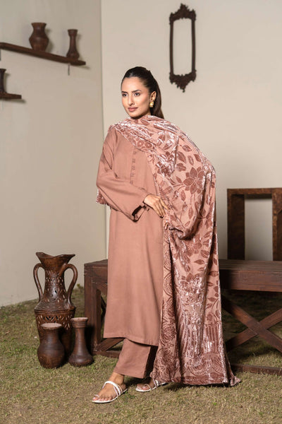 RANGZ 'Palachi Lux' | Dhanak Palachi Shawl 3pc Pakistani Readymade Womenswear Traditional | RGZ110 (6 Colours) RANGZ