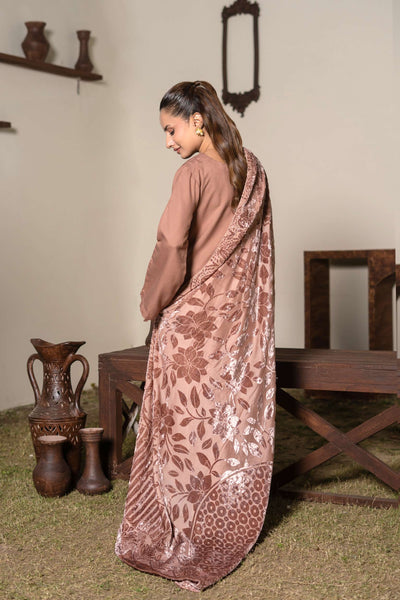 RANGZ 'Palachi Lux' | Dhanak Palachi Shawl 3pc Pakistani Readymade Womenswear Traditional | RGZ110 (6 Colours)