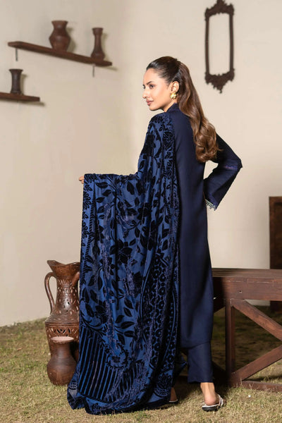 RANGZ 'Palachi Lux' | Dhanak Palachi Shawl 3pc Pakistani Readymade Womenswear Traditional | RGZ110 (6 Colours) RANGZ