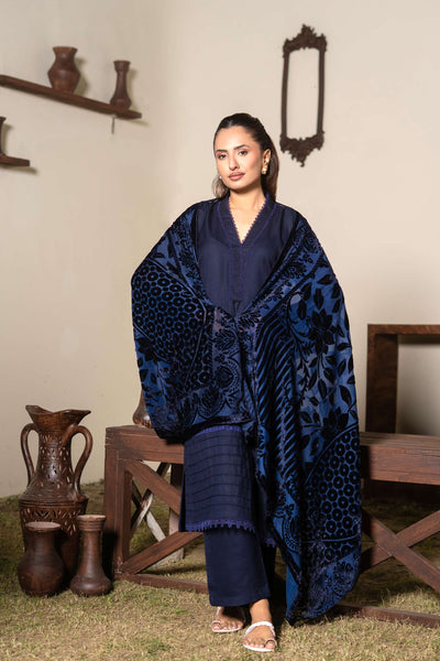 RANGZ 'Palachi Lux' | Dhanak Palachi Shawl 3pc Pakistani Readymade Womenswear Traditional | RGZ110 (6 Colours)