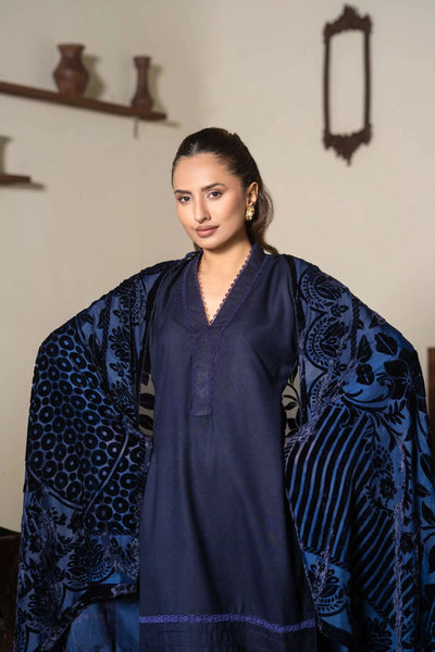 RANGZ 'Palachi Lux' | Dhanak Palachi Shawl 3pc Pakistani Readymade Womenswear Traditional | RGZ110 (6 Colours) RANGZ