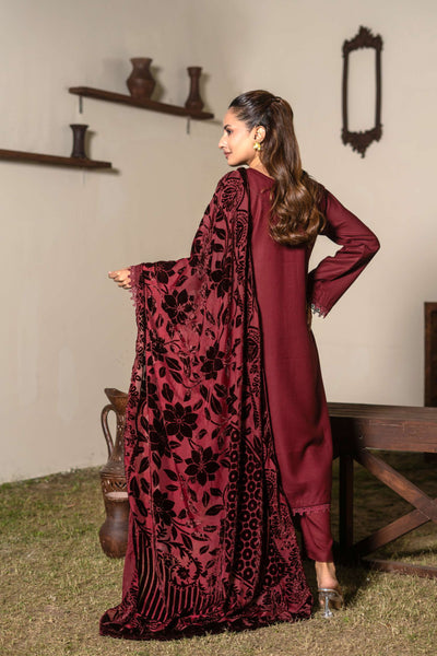 RANGZ 'Palachi Lux' | Dhanak Palachi Shawl 3pc Pakistani Readymade Womenswear Traditional | RGZ110 (6 Colours)