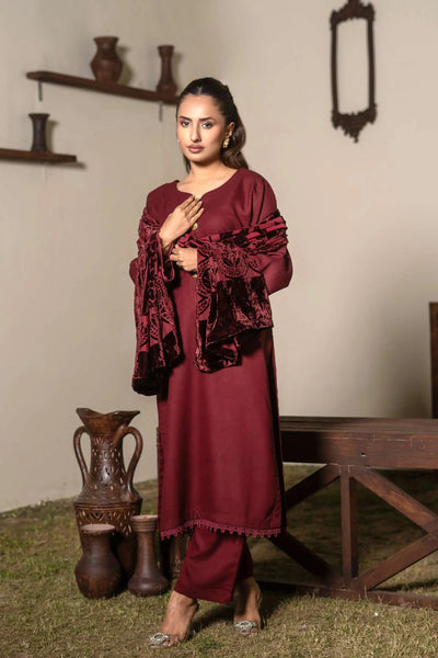 RANGZ 'Palachi Lux' | Dhanak Palachi Shawl 3pc Pakistani Readymade Womenswear Traditional | RGZ110 (6 Colours) RANGZ