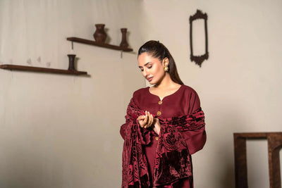 RANGZ 'Palachi Lux' | Dhanak Palachi Shawl 3pc Pakistani Readymade Womenswear Traditional | RGZ110 (6 Colours) RANGZ