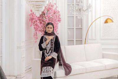 RANGZ 'Sitara' | Embroidered Velvet Kameez Pakistani Readymade | RGZ109 (6 Colours) Rangz